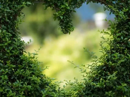 Loving Kindness Meditation