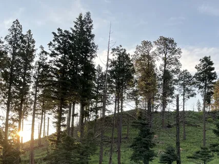 Loving Kindness Meditation