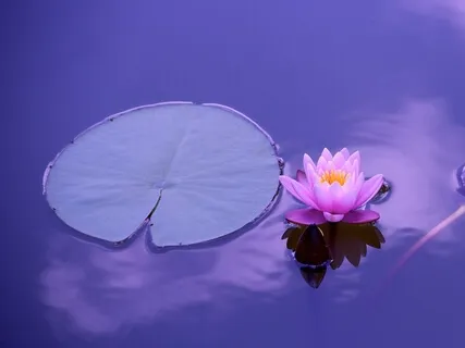 Loving Kindness Meditation