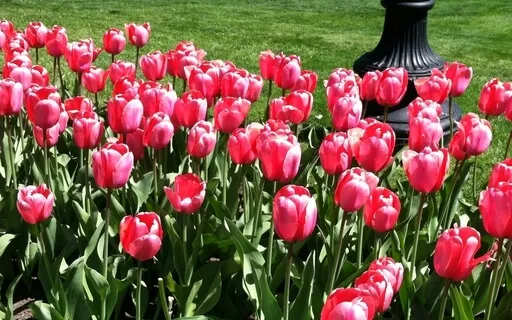 Loving Kindness Meditation