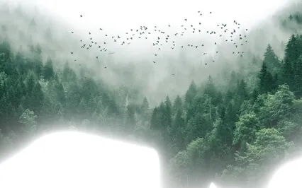 Loving-Kindness Meditation