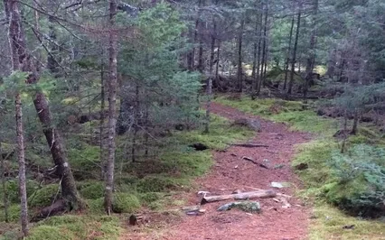 Loving Kindness Meditation