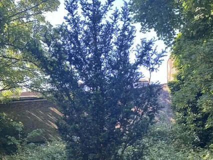 Loving Kindness Meditation