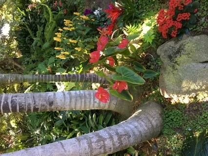 Loving Kindness Meditation