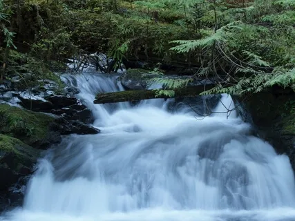 Loving Kindness Meditation