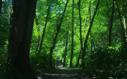 Loving Kindness Meditation 