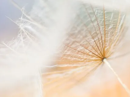 Loving Kindness Meditation