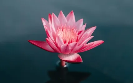 Loving Kindness Meditation