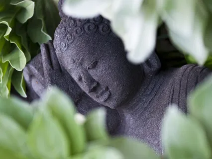 Loving Kindness Meditation