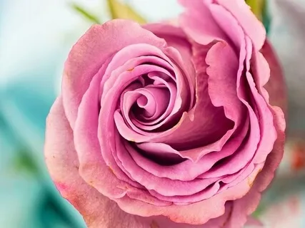 Loving-Kindness Practice