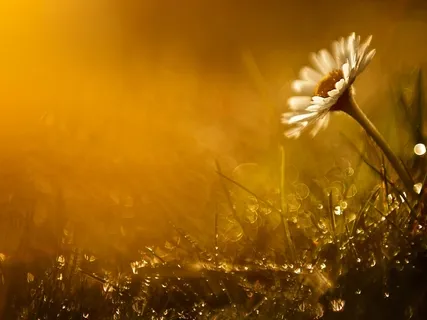 Loving-Kindness Practice