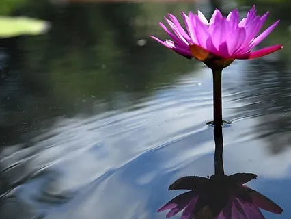 Loving Kindness Practice For Cultivating Compassion