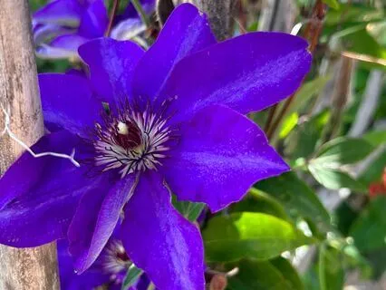 Loving Kindness Meditation 9 Minutes