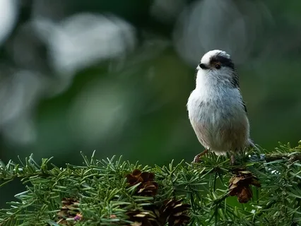 Connecting To Yourself & To The World