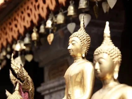 Loving-Kindness Meditation & Hierarchy of Needs