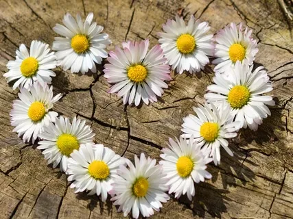 Loving Kindness Meditation Buddhist Full Version For Insight