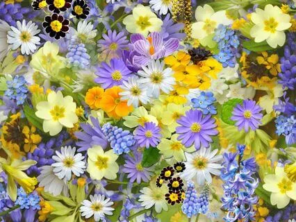 Loving Kindness Meditation Emotions Based