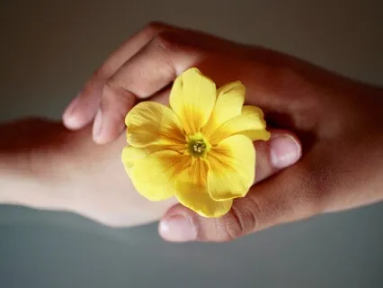 Loving-Kindness Meditation For Beginners