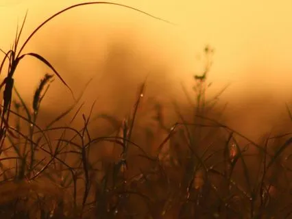 Loving-Kindness Meditation For Compassion