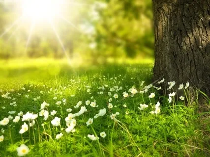 Loving-Kindness Meditation For Deep Connection