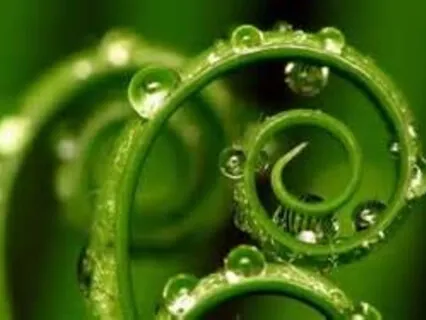 Loving-Kindness Meditation for Healing