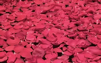 Loving Kindness Meditation For Peacefulness (Metta)