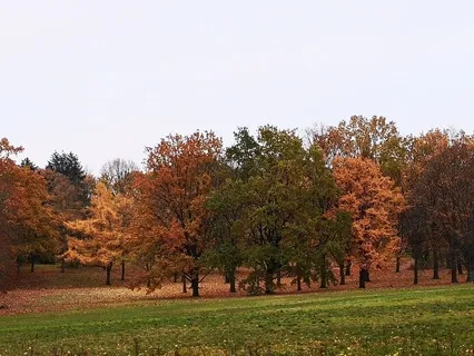 Loving-Kindness Meditation For Self And Others