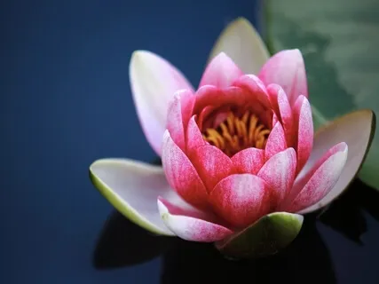 Loving Kindness Practice For Self-Love And Compassion