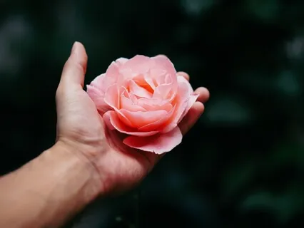 Loving Kindness Meditation Part 1