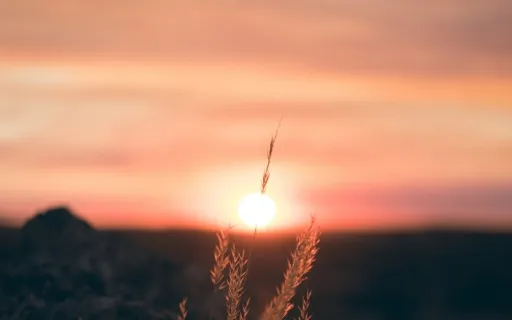 Loving-Kindness Meditation To Deepen Connection