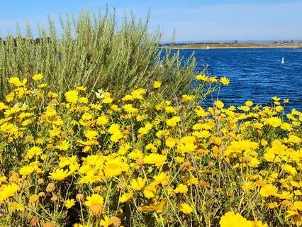 Loving Kindness Meditation To Nourish Our Hearts