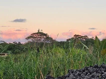 Loving-Kindness Practice (With Night Sounds Of Hawaii)