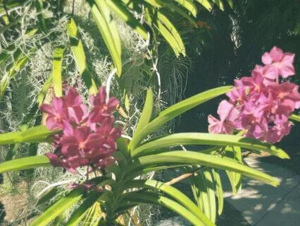 Loving-Kindness Meditation