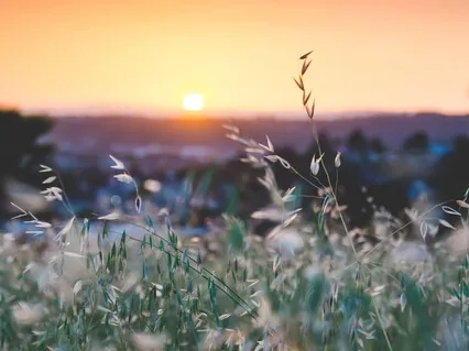 Loving Kindness Meditation (Without Music)