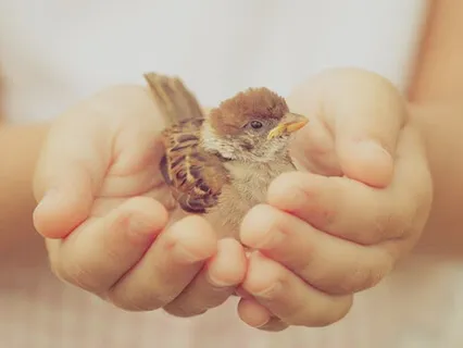 Loving Kindness Meditation