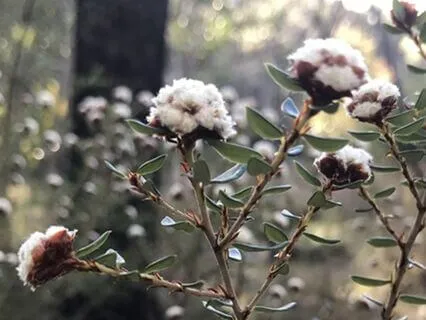 Cultivating Loving Kindness From Within