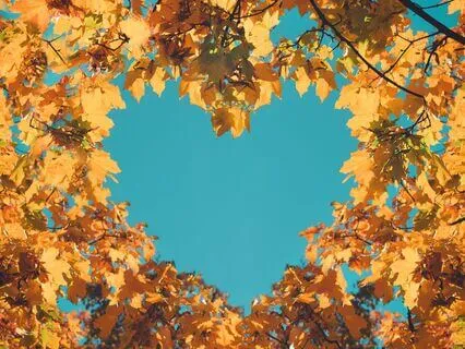 Loving Kindness Meditation