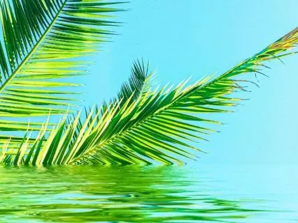 Loving Kindness Meditation