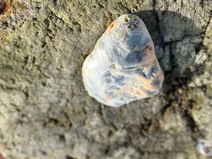 Loving Kindness Meditation