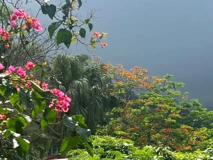 Loving-Kindness Meditation