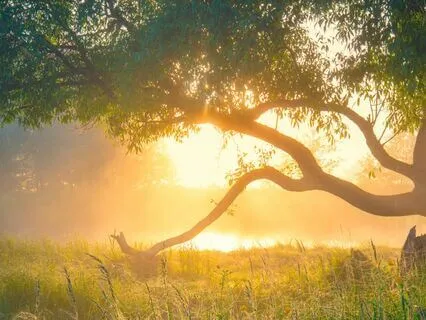 Loving Kindness Meditation