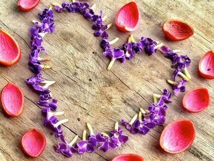 Loving Kindness Meditation