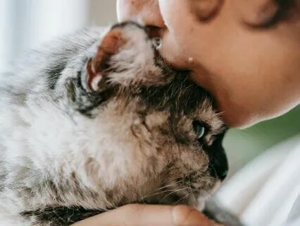 Loving-Kindness Meditation