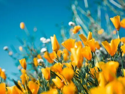 Loving-Kindness Meditation