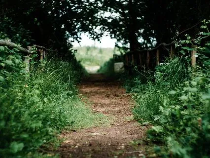 Loving Kindness Meditation