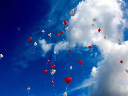 Loving-Kindness For All