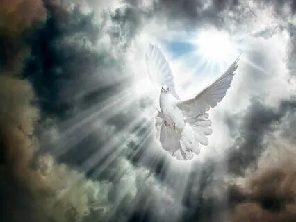 Loving Kindness/'Address To Humanity'/Meditative Poetry.