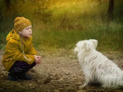 Loving-Kindness (Metta) For Others & For Oneself 