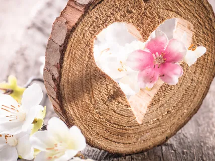 Loving-Kindness (Metta) Meditation