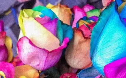 Loving Kindness Metta Meditation